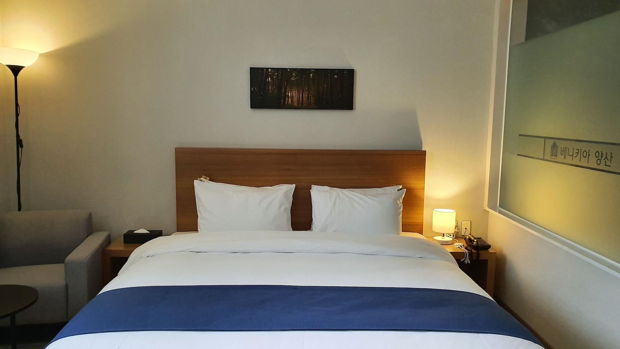 Benikea Hotel Yangsan Экстерьер фото